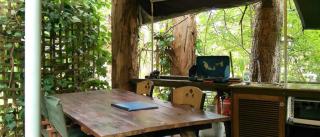 Black Cockatoo Lodge - Nannup - 9