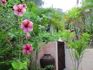Chalets Bougainville - 5