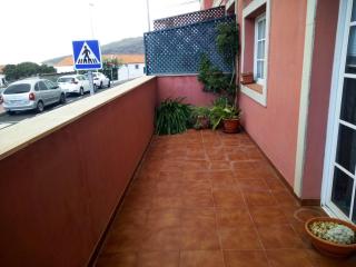 CASA aloe - 2