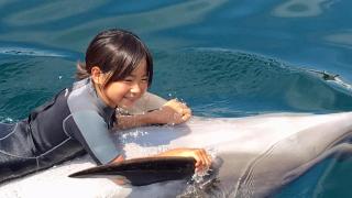 Minshuku Hanamizuki / Vacation STAY 197 - 0