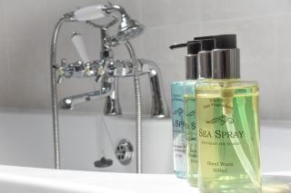 Shearwater - Bridlington - 7