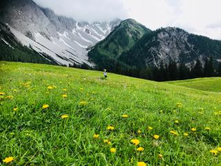 Hotel Alpina Regina - 6