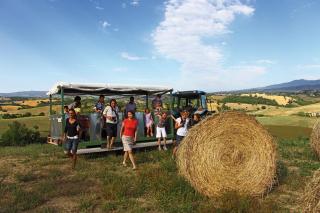 Agriturismo Le Calle - Cinigiano - 1
