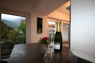 Alpenflair Ferienwohnungen Whg 106 - Oberstdorf - 1