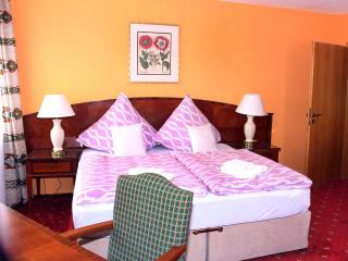 Hotel Neustädter Hof - Titisee-Neustadt - 3