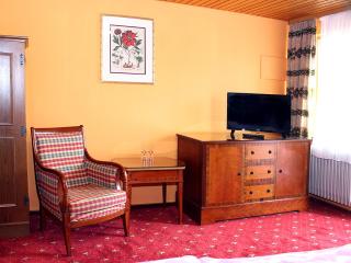 Hotel Neustädter Hof - Titisee-Neustadt - 5
