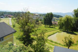 Gostilna s prenocisci Danica - Slovenska Bistrica - 4