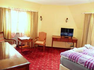 Hotel Neustädter Hof - Titisee-Neustadt - 7