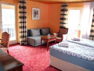 Hotel Neustädter Hof - Titisee-Neustadt - 9