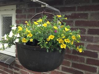 B&B Op 't Eikenschoor - Soerendonk - 5