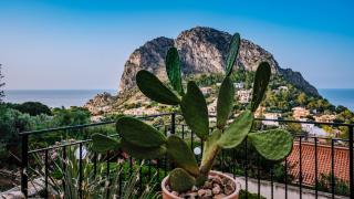 Villa Zabbara Capo Zafferano - Bagheria - 5