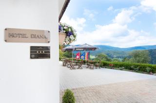 Hotel Diana - Feldberg - 6