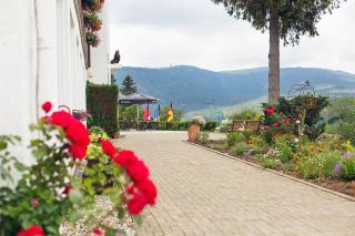 Hotel Diana - Feldberg - 5