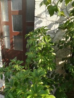 Apartman Nada - Kornić - 8