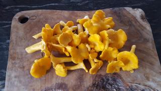 Wester Blackpark Farm - 8