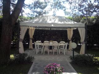 B&B LE MAGNOLIE - Gallarate - 8