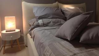 Holiday House Viola - 1