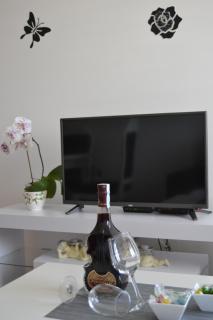 Apartman Rada - Bijeljina - 1