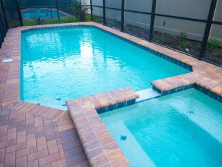 Disney Villa 9Bd/6Ba for 22 sleeps - Kissimmee - 2
