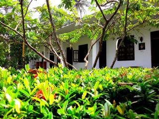 Coconut Grove - Midigama - 6