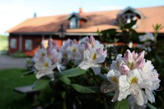 Klefstad gård - Linghem - 0