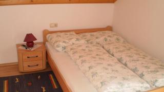 Ferienwohnung Schmiedbauer - Gosau - 0