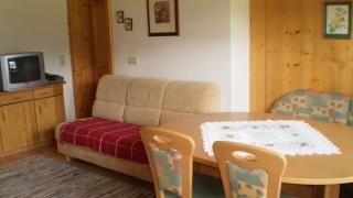 Ferienwohnung Schmiedbauer - Gosau - 8