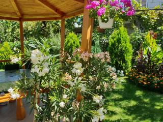 Kyurkchievi Guest House - Sapareva Banya - 7