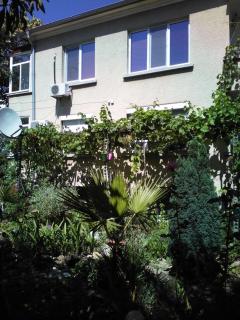 Viki - Boergas - 9