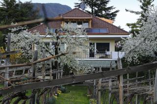 Haus Rogger - Caldaro - 2