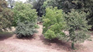 Le petit plessis - 6
