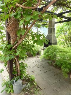 FeWo Batek - Trechtingshausen - 6