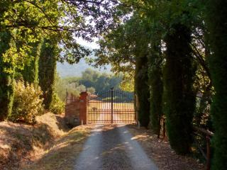 Casale I Burroni - Arezzo - 3