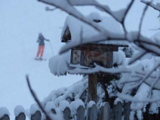 Hotel Garni Zerzer - Serfaus - 5