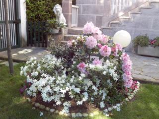 B&B LE MAGNOLIE - Gallarate - 9