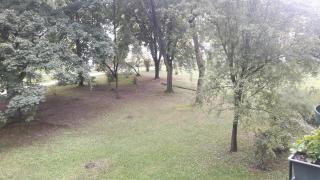motylek - Łódź - 2