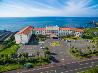 Jeju Ilsung Beach Condo - Jeju - 9