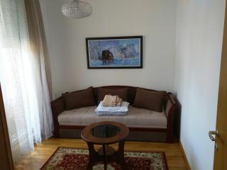 JC10 Apartment 3 bedroom, free parking, 73sqm - Novi Sad - 1