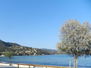 Appartement les Pieds dans l'eau ! - Le Lavandou - 9