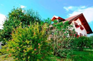 Gästehaus Walser - 2