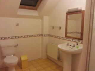 Dingle Marina Lodge - 7