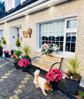 Woodleigh Lodge - Gorey - 9