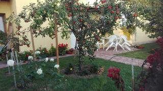 Apartman Peric - Ðakovo - 6