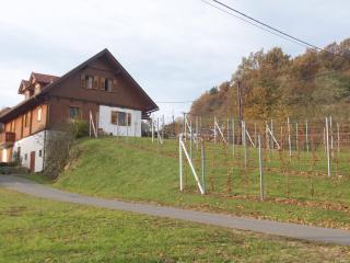 Gästehaus - Camping- Weinhof Radl - Klöch - 3