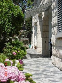 Apartments by the sea Viganj, Peljesac - 15341 - Kučište - 6