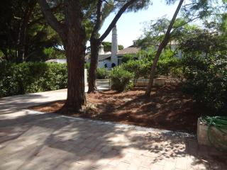 AÇOTEIAS - Albufeira - 8