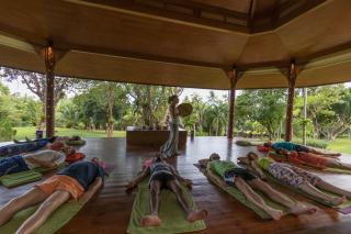 Mangosteen Ayurveda & Wellness Resort - SHA Plus - Rawai Beach - 1