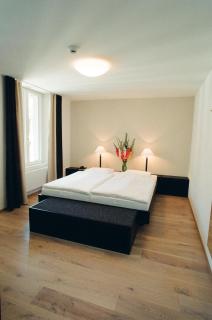 Hotel Alpina Luzern - Lucerna - 7