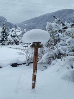 Pension Unterhof - Flachau - 1