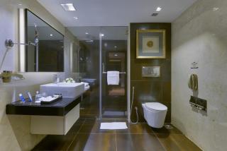 Davanam Sarovar Portico Suites - 1